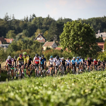 A group of cyclists riding through France