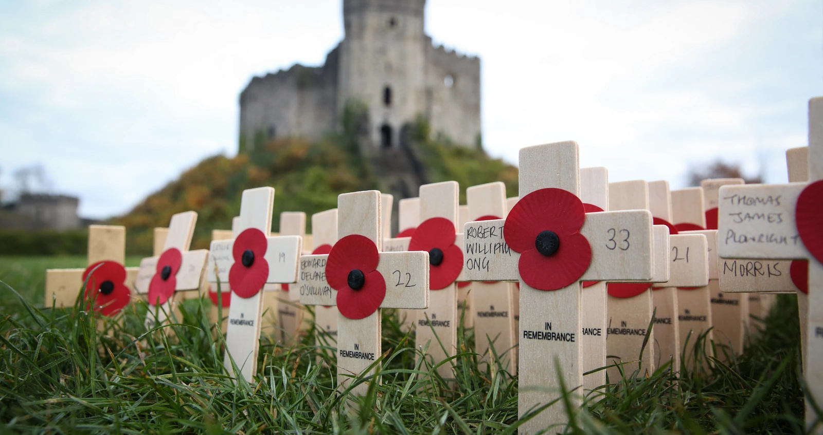 Cardiff Field of Remembrance