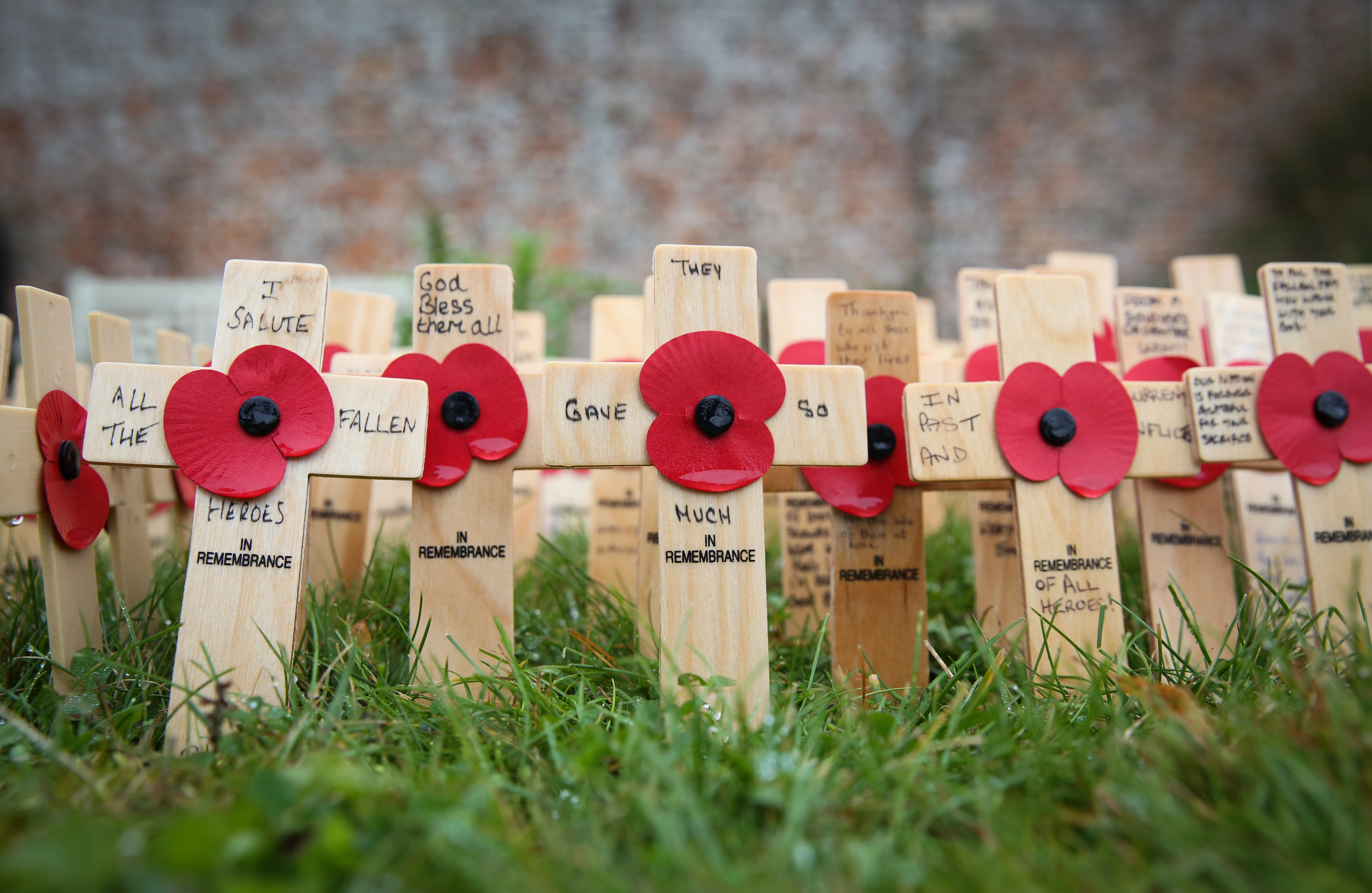 Westminster Abbey Field of Remembrance Remembrance Royal British Legion