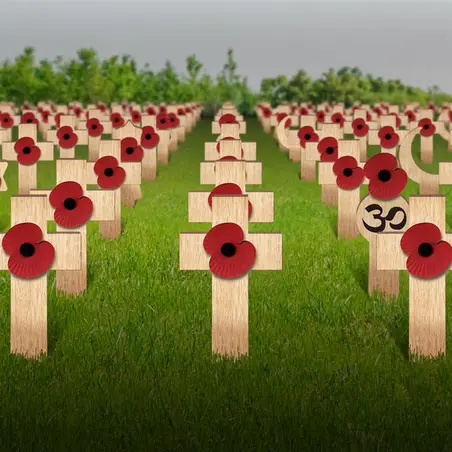 Virtual Field of Remembrance