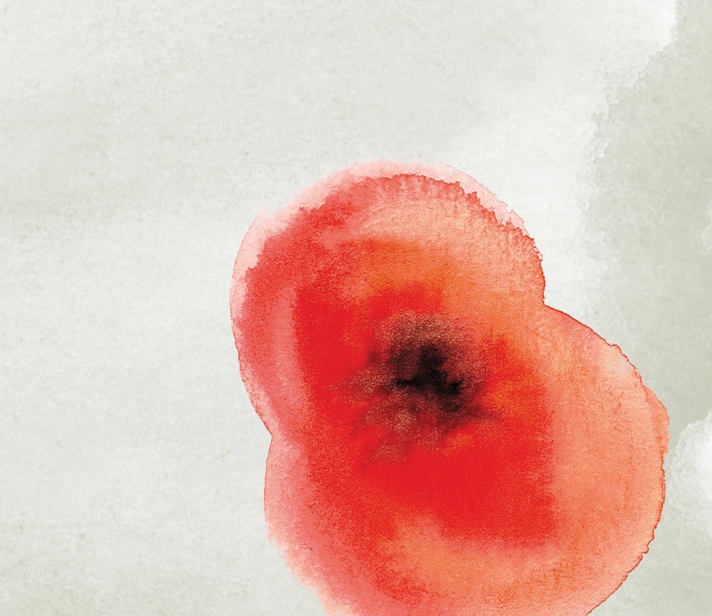 Landing_Page_1920x1080_wash (1)