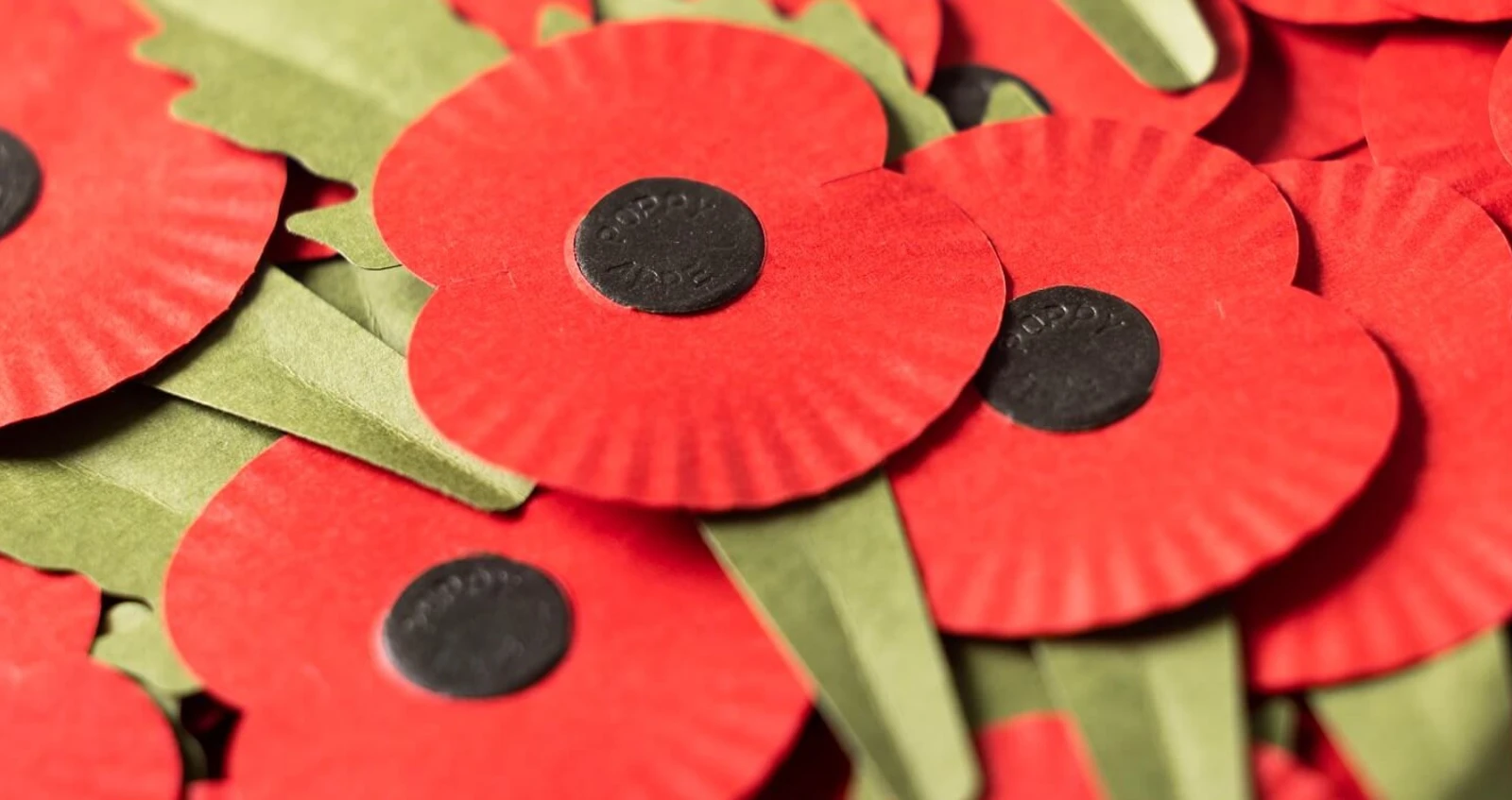 RBL plastic free poppy Plastic free poppies