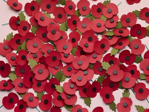 Paper poppy RBL paper poppy