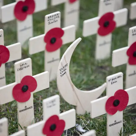 Westminster Field Of Remembrance 2016 ""